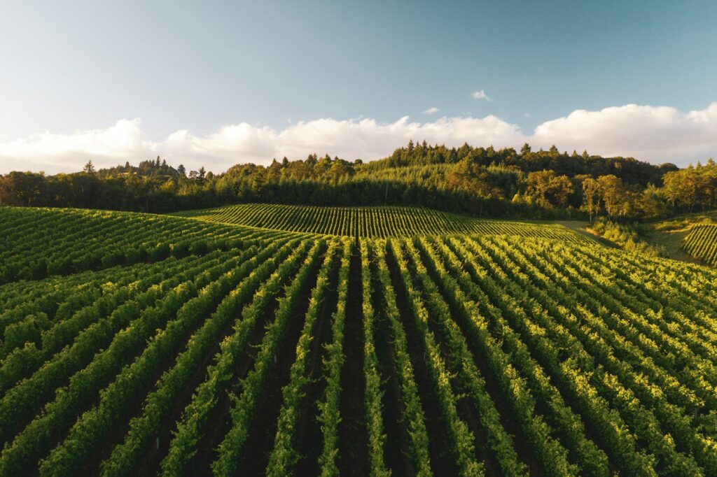 dan meyers 0agtpoaarte unsplash (1)
