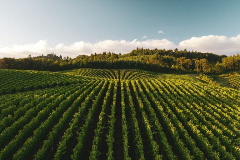 dan meyers 0agtpoaarte unsplash (1)